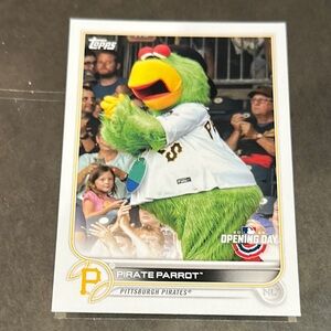 Topps Pirate Parrot Mascot Card - Green and White